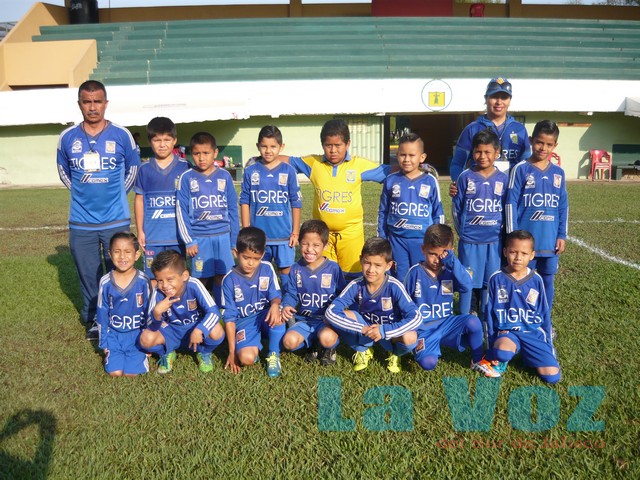 LIGA INFANTIL CHUPON--------TIGRES