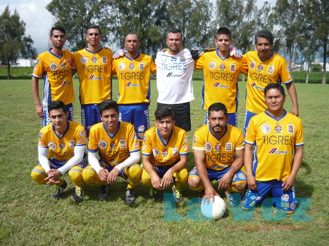 LIGA CONSTITUYENTES----------TIGRES