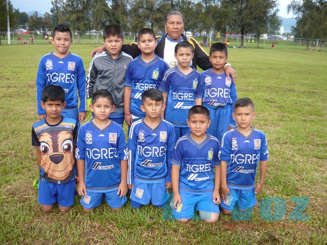 LIGA INFANTIL-------TIGRES