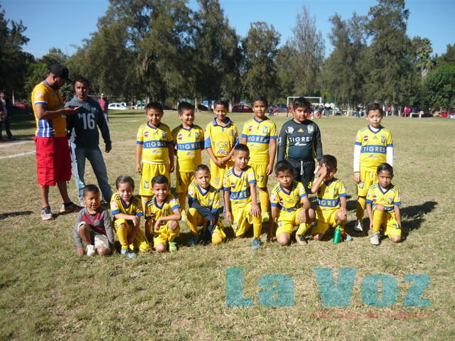 LIGA INFANTIL CHUPON-------TIGRES