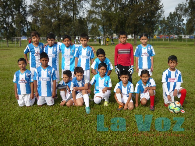 LIGA INFANTIL PONY----PACHUCA