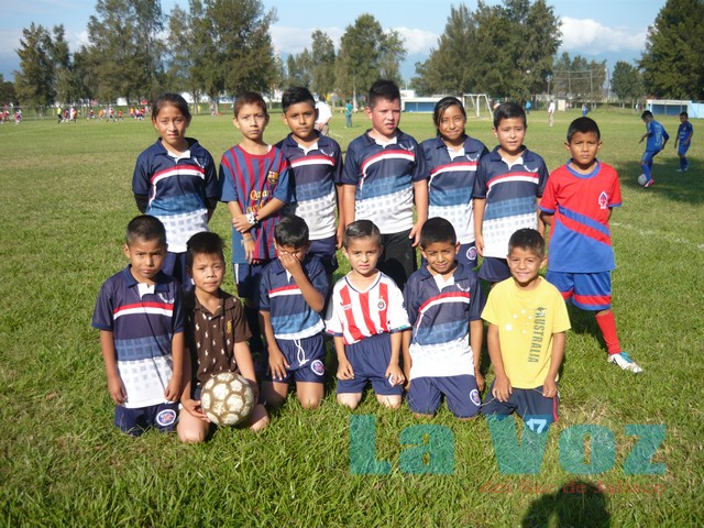 LIGA INFANTIL PONY-----POTROS COBRAS-