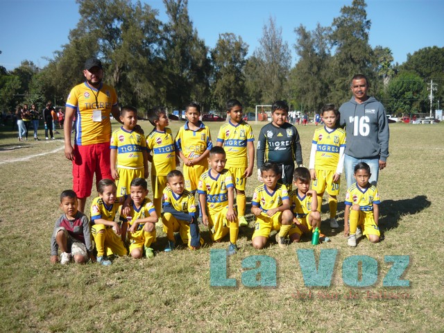 LIGA INFANTIL--------TIGRES