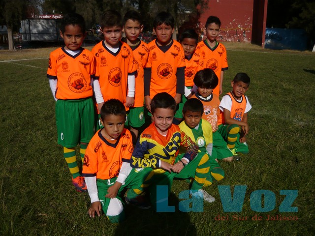 LIGA INFANTIL-------TECOS