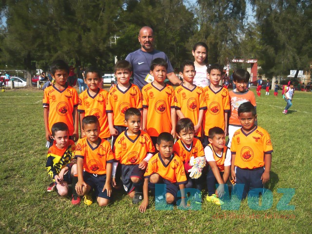 LIGA INFANTIL PONY--------TECOS