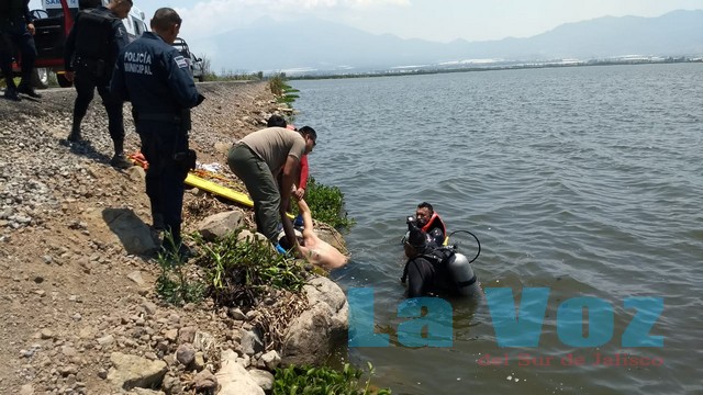 ahogado en la laguna (3)