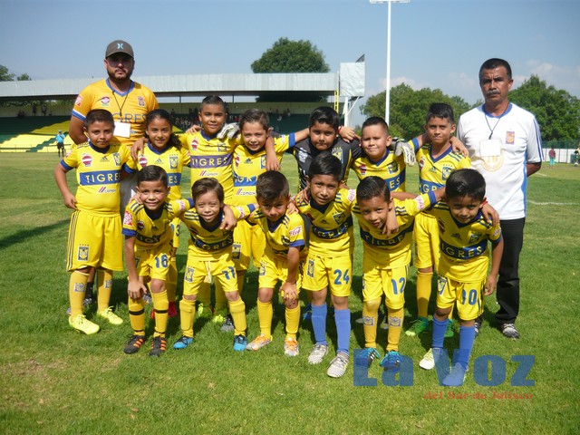 LIGA INFANTIL CHUPON--------TIGRES